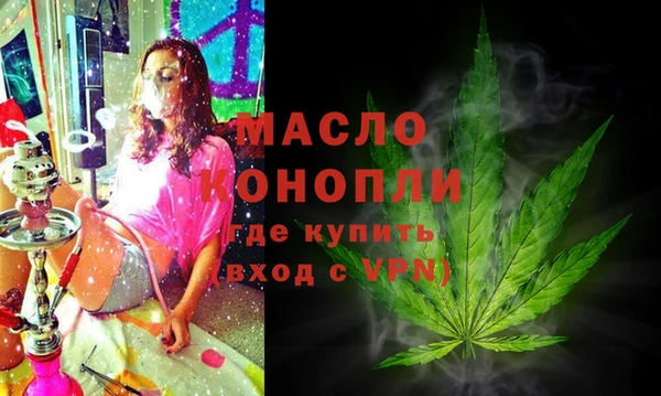 mix Богородицк