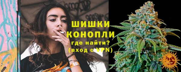 mix Богородицк