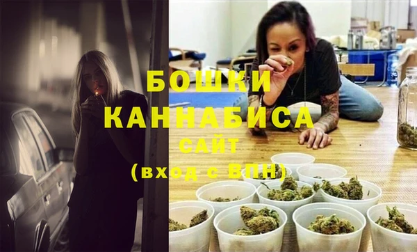 mix Богородицк