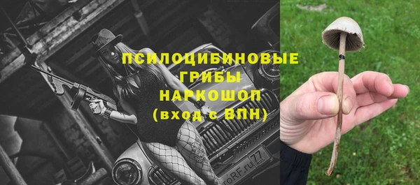 mix Богородицк