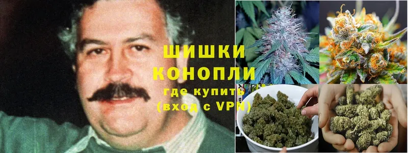 Марихуана OG Kush  наркошоп  Дятьково 